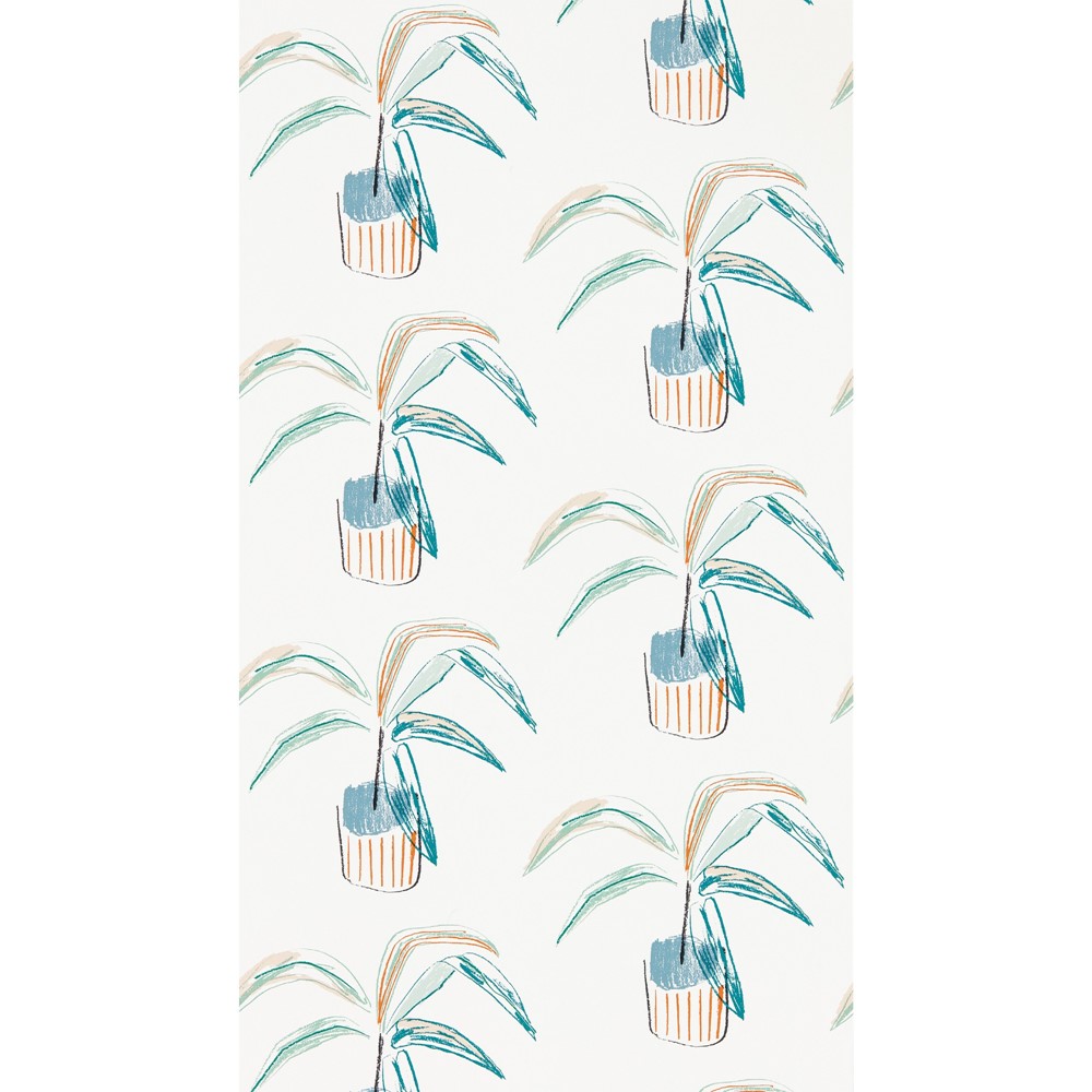 Crassula Wallpaper 111990 by Scion in Tangerine Mint Green